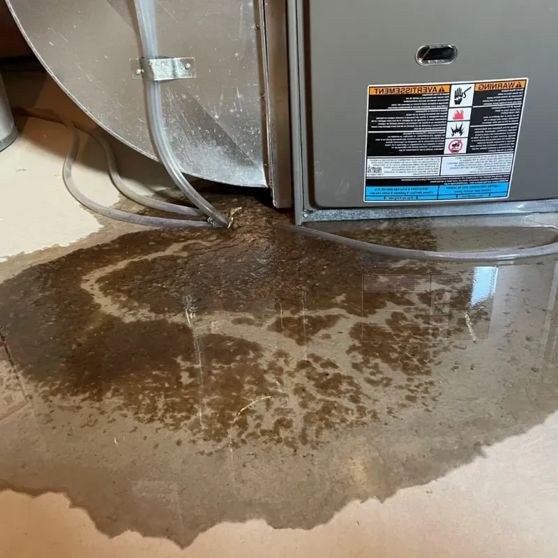 Pipe Burst and Leak Restoration in Weber County, UT